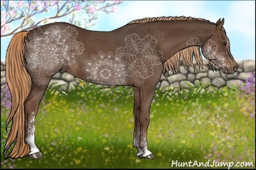 Horse Color:Liver Chestnut Sabino 