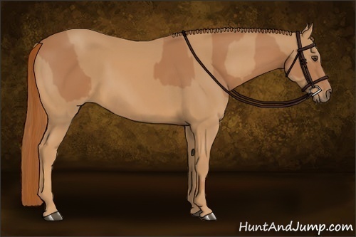 Horse Color:Chestnut  and Chestnut 
