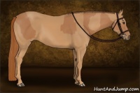 Horse Color:Chestnut and Chestnut