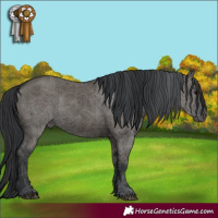 Horse Color:Grullo Brindle 