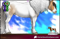 Horse Color:Buckskin Roan Splash Tobiano Frame 