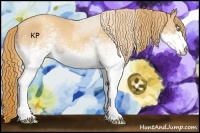 Horse Color:White Spotted Gold Champagne Roan