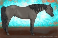 Horse Color:Grullo 
