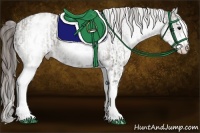 Horse Color:White Spotted Grullo Snowcap Rabicano  and White Spotted Grullo Blanket Rabicano 