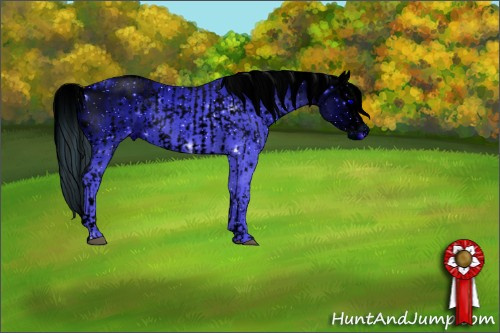 Horse Color:ERROR: UNKNOWN ANOMALY and ERROR: UNKNOWN ANOMALY