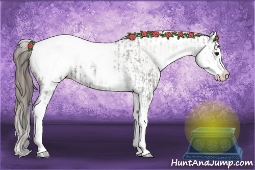Horse Color:White Spotted Grullo Snowcap Rabicano and White Spotted Grullo Splash Snowcap Rabicano