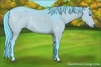 Horse Color:Watercolor Black 