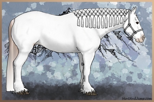Horse Color:White Spotted Grullo Snowcap Rabicano and White Spotted Grullo Snowcap Rabicano