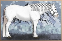 Horse Color:White Spotted Grullo Snowcap Rabicano  and White Spotted Grullo Snowcap Rabicano 