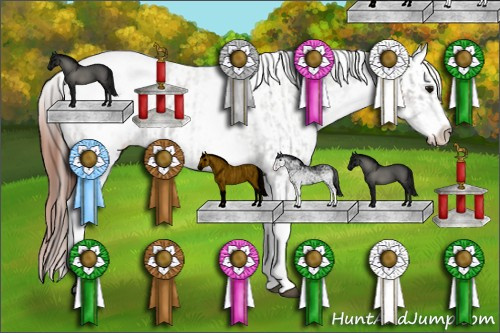 Horse Color:White Spotted Grullo Appaloosa Rabicano  and White Spotted Grullo Appaloosa Rabicano 