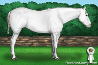 Horse Color:White Spotted Grullo Snowcap Rabicano and White Spotted Grullo Snowcap Rabicano