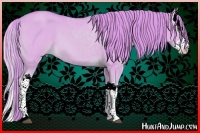 Horse Color:Watercolor Red Dun Splash