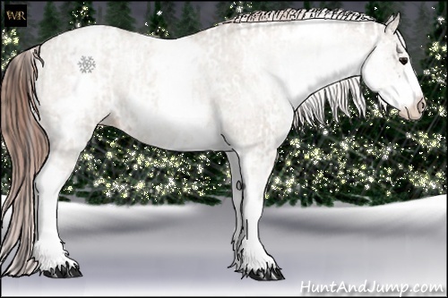 Horse Color:White Spotted Grullo Appaloosa Rabicano and White Spotted Classic Champagne Dun Appaloosa Rabicano