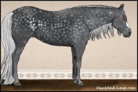Horse Color:Silver Black Chinchilla 