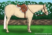 Horse Color:Silver Amber Cream Champagne 