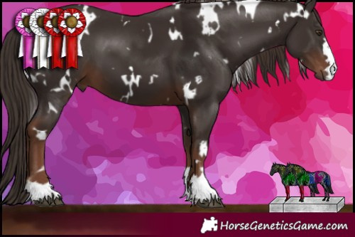 Horse Color:White Spotted Liver Chestnut 