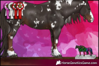 Horse Color:White Spotted Liver Chestnut 