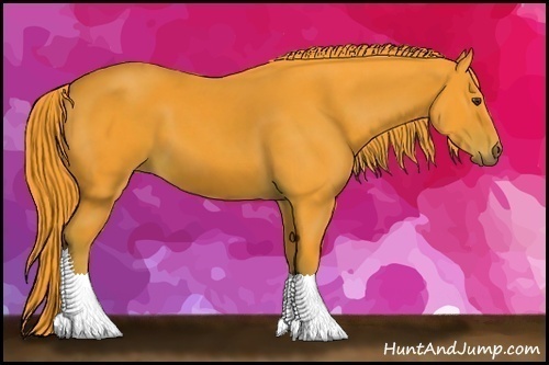 Horse Color:Watercolor Liver Chestnut 