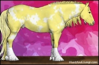 Horse Color:Watercolor White Spotted Liver Chestnut 