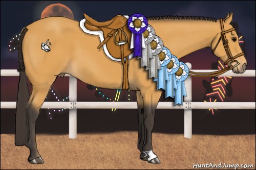 Horse Color:Buckskin 