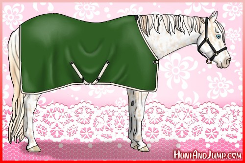 Horse Color:Buckskin Roan Pearl  and Buckskin Roan Pearl Blanket 