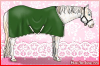 Horse Color:Buckskin Roan Pearl and Buckskin Roan Pearl Appaloosa
