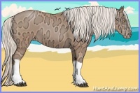 Horse Color:Silver Brown Ice Pearl 