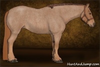 Horse Color:Red Roan 
