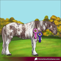 Horse Color:White Spotted Chocolate Silver Grullo  and White Spotted Chocolate Black Tobiano 