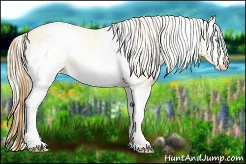Horse Color:White Spotted Buckskin Pearl  and White Spotted Palomino Pearl 