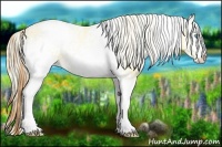 Horse Color:White Spotted Buckskin Pearl  and White Spotted Palomino Pearl 
