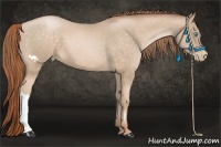 Horse Color:Buckskin Pearl 
