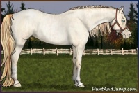 Horse Color:Buckskin Roan Pearl and Buckskin Roan Pearl Rabicano