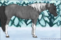 Horse Color:Smoky Blue Roan Tobiano 