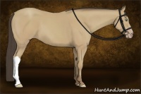 Horse Color:Amber Cream Champagne 