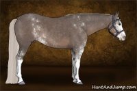 Horse Color:Silver Black Sabino 