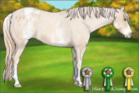 Horse Color:White Spotted Gold Champagne Roan Appaloosa 