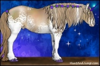 Horse Color:White Spotted Liver Chestnut Pearl Sabino Rabicano