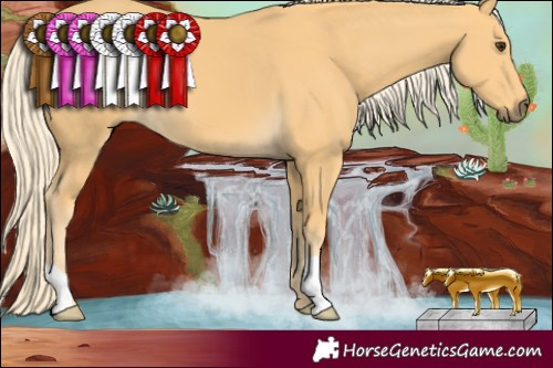 Horse Color:Palomino 