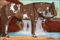 Horse Color:White Spotted Chestnut 