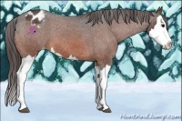 Horse Color:Bay Roan Splash Varnish