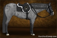 Horse Color:Blue Roan 