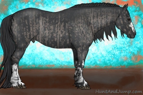 Horse Color:Blue Roan Rabicano  and Blue Roan Rabicano 