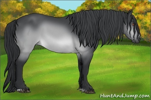 Horse Color:Brown Chinchilla Sabino