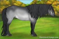 Horse Color:Brown Chinchilla Sabino
