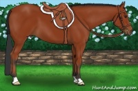 Horse Color:Brown 