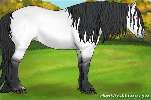 Horse Color:Brown Chinchilla Dun