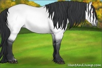 Horse Color:Brown Chinchilla Dun 