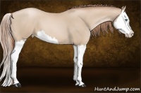 Horse Color:Smoky Black Pearl Splash 