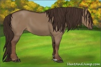 Horse Color:Liver Red Dun